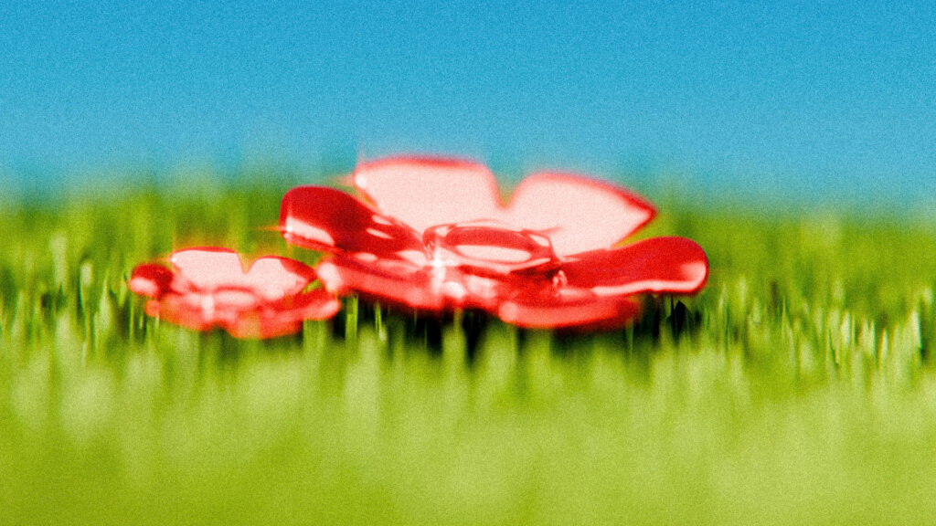 Render-Carrossel-Flores-